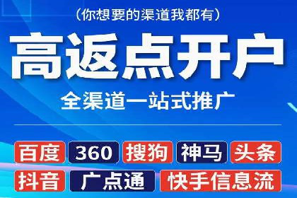 竞价广告策略案例分析